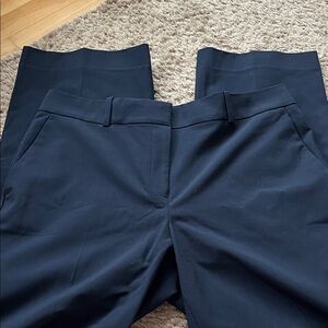 Ann Taylor Curvy Fit Trousers Navy Blue Size 8 - 29” inseam